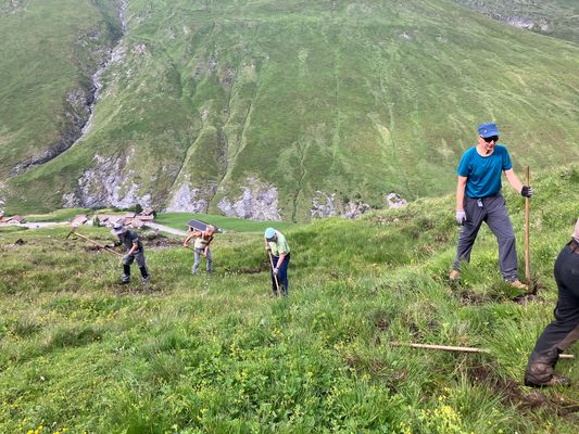 Avers_2025KW26_Bergwaldprojekt_022