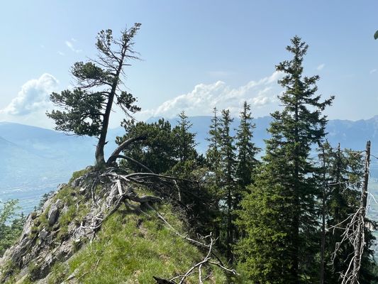 Foto 21.06.22, 15 48 35