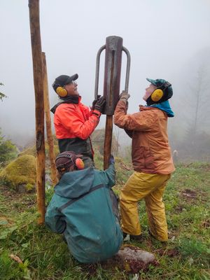 Grabs_2025KW19_Bergwaldprojekt_010