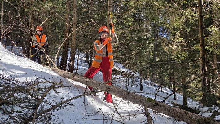 Trin_2026KW03-04_Trin_Bergwaldprojekt_071