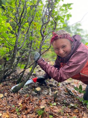 Urnäsch_2025KW37_Bergwaldprojekt_047