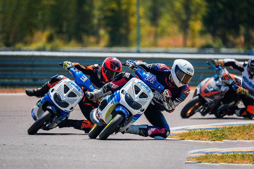 Polini Italian Cup 2026 100 Big